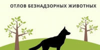 Администрация Советского муниципального района  сообщает об отлове животных без владельцев - Советский район