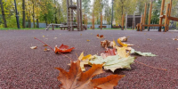 Картинка - Regions.Ru