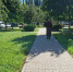 Источник фото: администрация города Железногорска.. - Администрация МО