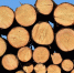 Фото: pixabay.com - KaliningradNews.Ru