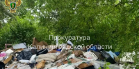 В Гурьевском районе ликвидировали свалку мусора и шин - Комсомольская правда