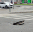 Опасный люк преградил дорогу водителям - Gorod48.ru