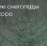 Поделитья во ВКонтакте - Братская Студия Телевидения