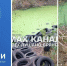 Брянский лес завалили старой резиной - Сетевое издание Новости Брянска