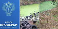 Брянский лес завалили старой резиной - Сетевое издание Новости Брянска