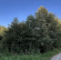 Картинка - Regions.Ru