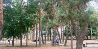 В Воронеже на благоустройство сквера на улице Переверткина выделят более 1 млн рублей - РИА Воронеж