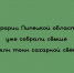 Аграрии Липецкой области собрали уже больше 2 млн тонн сахарной свёклы - Народное слово