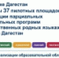В Дагестане 37 детских садов станут площадками для изучения родных языков - Гумбетовский район