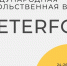 peterfud_1771415103.jpg - Центр Мой бизнес
