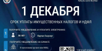 До 1 декабря оренбуржцам нужно уплатить имущественные налоги - ProOren.Ru