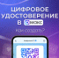 Около 12 тысяч костромичей с помощью специалистов Соцфонда оформили цифровой ID для подтверждения льгот - Пыщугский муниципальный округ