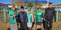 Алия Аргинбаева пресс-служба ООО «Салаватское» - Башинформ