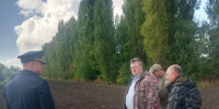 В Белгородской области создадут лесосеменные плантации - Сетевое издание Ровеньская нива