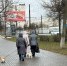 Злые собаки покусали детей сразу в трех районах Кировской области - ProGorod.Ru