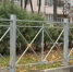 На улице Чичерина в Калуге обустраивают бульвар - Комсомольская Правда