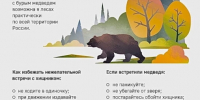 Информируем о походах в лес. - Тарский район