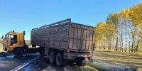 В Заинском районе водитель Changan погиб после столкновения с КамАЗом - Комсомольская правда Казань
