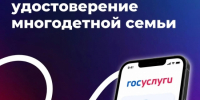Статус многодетной семьи - Город Североморск