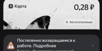 В Иванове зафиксированы сбои в платёжных сервисах «Яндекса» - Сетевое издание Ивановские новости