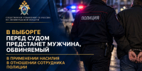 В Выборге перед судом предстанет мужчина, обвиняемый в применении насилия в отношении сотрудника полиции - Следственный комитет