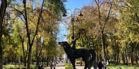 В Воронежской области днем 14 октября объявили беспилотную опасность - Комсомольская Правда