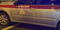 Разборка двух девушек в центре Петербурга закончилась задержанием двоих парней - Spbdnevnik.ru