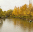 Картинка - Regions.Ru