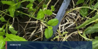 В Советском районе города Нижнего Новгорода мужчина, обвиняемый в покушении на убийство отчима, предстал перед судом - СУ СК РФ