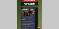 Фейк о недавнем нападении медведя на 87-летнего ветерана запустили в Воронеже - ВестиПК в Воронеже