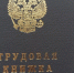 Каждый третий житель Липецкой области выбрал электронную трудовую книжку - Gorod48.ru