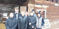 Усольские казачата впервые попробовали себя в верховой езде - Usolie.Info