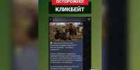 Про фейк о нападении медведя на ветерана рассказали воронежцам - Обозреватель.Врн