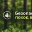 Безопасный поход в лес - МЧС