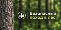 Безопасный поход в лес - МЧС