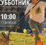 Губернатор пригласил петербуржцев на общегородской "Добрый субботник" - Metro Петербург