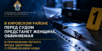 В Кировском районе перед судом предстанет женщина, обвиняемая в причинении легкого вреда здоровью с применением ножа - Следственный комитет