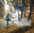 Фото: https://www.penza-gorod.ru/ - Penza-Post.Ru