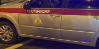 На «стрелку» девушек в центре Петербурга приехала «группа поддержки» с перцовкой и росгвардейцы - 47 новостей