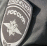 В Уфе проверяют гибель четырех кошек, выпавших из окна - Комсомольская правда