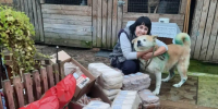 В Псковской области продолжается сбор корма для бездомных животных в Невеле - Pln-Pskov.Ru