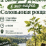 Субботник и высадка деревьев пройдут в экопарке «Соловьиная роща» - Известия Саратов