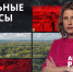 Как решить земельные вопросы через МФЦ? - ЛенТВ24
