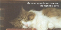 НИЖНЫЙ КОД (КОТ): литературный квиз - Муниципальное объединение библиотек