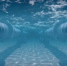 Фото: dragancfm/Shutterstock/Fotodom - Ямал-Медиа