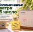 Жителям Псковской области порекомендовали оплатить услуги по вывозу ТКО до 15 числа - Pln-Pskov.Ru