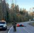 #происшествие - Кингисепп-сегодня.рф