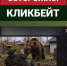 Развенчан фейк о смертельном нападении бурого медведя на воронежского ветерана - Bloknot-Voronezh.Ru
