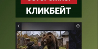 Развенчан фейк о смертельном нападении бурого медведя на воронежского ветерана - Bloknot-Voronezh.Ru