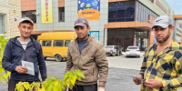На территории Марксовского муниципального района продолжается цикл мероприятий по адаптации иностранных граждан *** Саратовская область, город Маркс - октябрь 2026 год (marksadm.ru) - Марксовский район